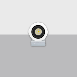 12W LED Spotlight | High Brightness, Energy-Efficient Lighting for Large Spaces