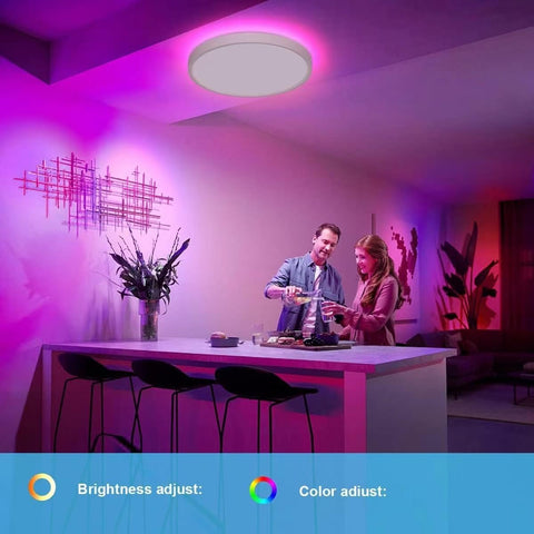 CIRC 14-Inch LED Dual-Light Downlight 24W+3W | Wide Beam