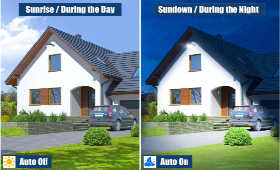 Product Right Side Image