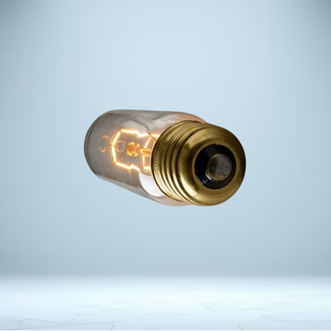 T10 5" Tube Bulb 25W | E26 Incandescent
